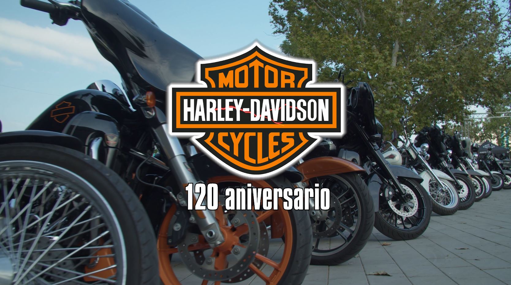 Harley Davidson mayor reputación