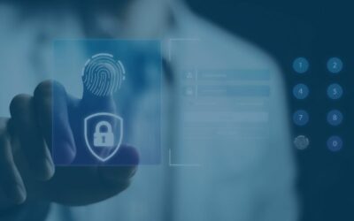 ¿Quién es «Persona» y por qué LinkedIn le confía tus datos?