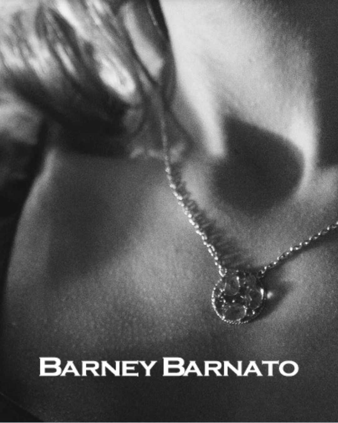 www.barneybarnato.es